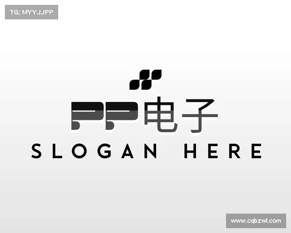 了解pp电子